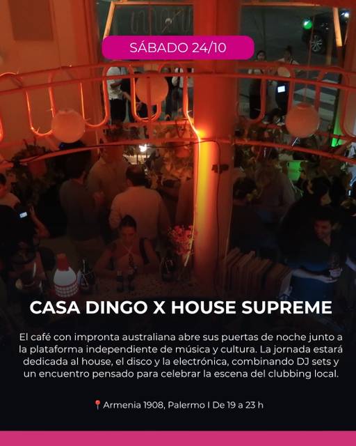 CASA DINGO X HOUSE SUPREME