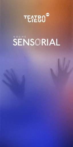 Noche Sensorial