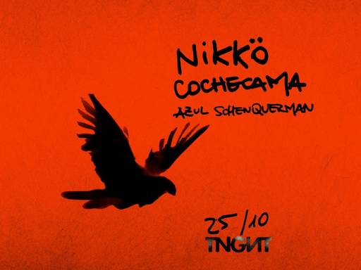 Nikkö + Cochecama + Azul Schenquerman