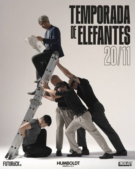 Temporada de Elefantes en Humboldt | Niceto Club (+18 años)