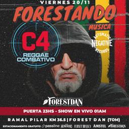 C4- EN FORESTANDO MUSICA