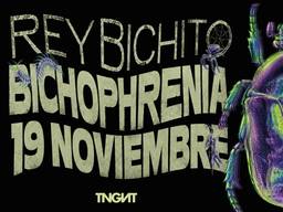 Rey Bichito