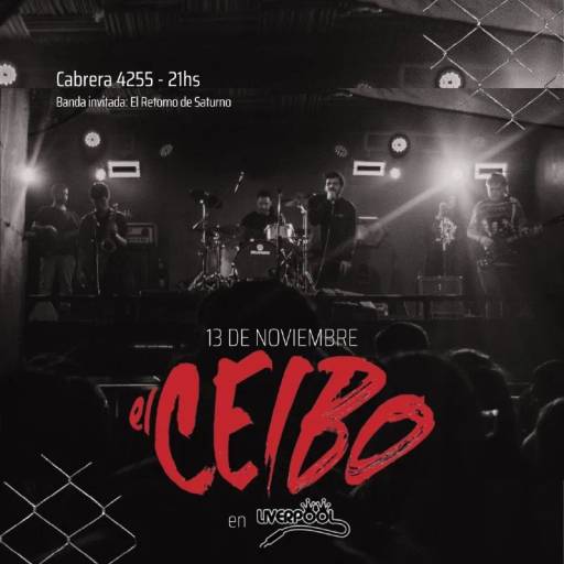 El ceibo en Liverpool!