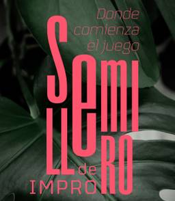 Semillero de Impro
